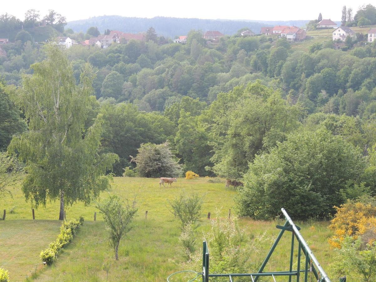 Au Chalet Bain Nordique Neuf Independant Calme Assure Haselbourg Bagian luar foto